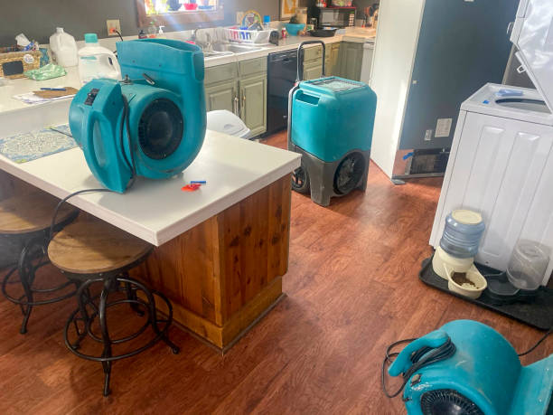 Best Water damage repair service  in Monson Center, MA