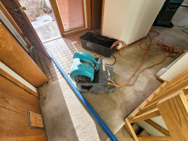 Best Fire Damage Restoration  in Monson Center, MA