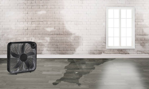 Best Water damage cleanup near me  in Monson Center, MA