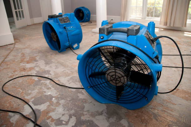 Best Carpet water damage restoration  in Monson Center, MA